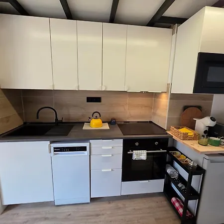 Apartment Alava 46 - Industrial Loft For 3 People - Wifi Vut-5321-as