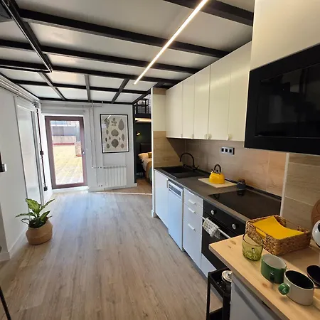 Alava 46 - Industrial Loft For 3 People - Wifi Vut-5321-as Lägenhet
